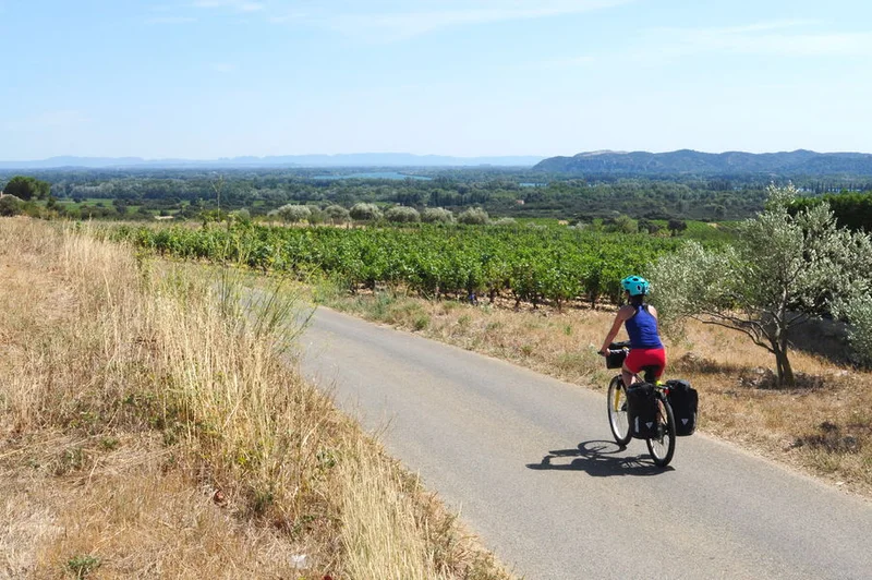 Vélo de route EV17 - ViaRhôna à vélo - Étape 18 - Caderousse > Avignon — Caderousse