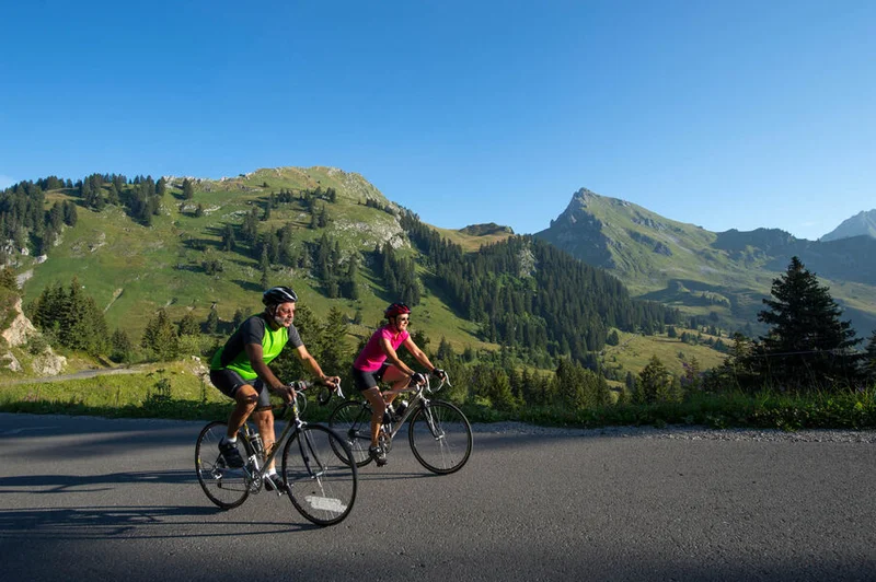 Vélo de route Boucle cyclo : Tour du Roc d'Enfer — Thonon-les-Bains
