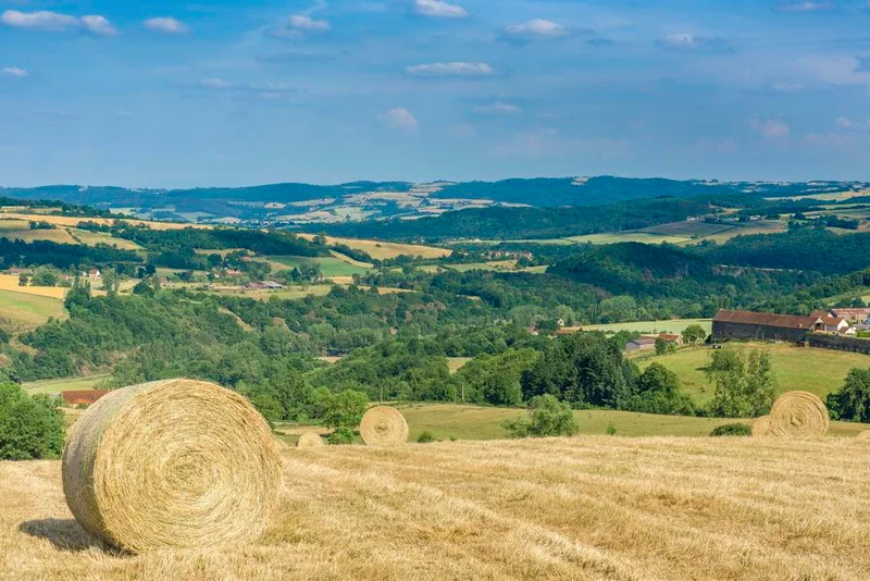 Vélo de route Virée sportive entre vallées et bocage — Saint-Bonnet-de-Four