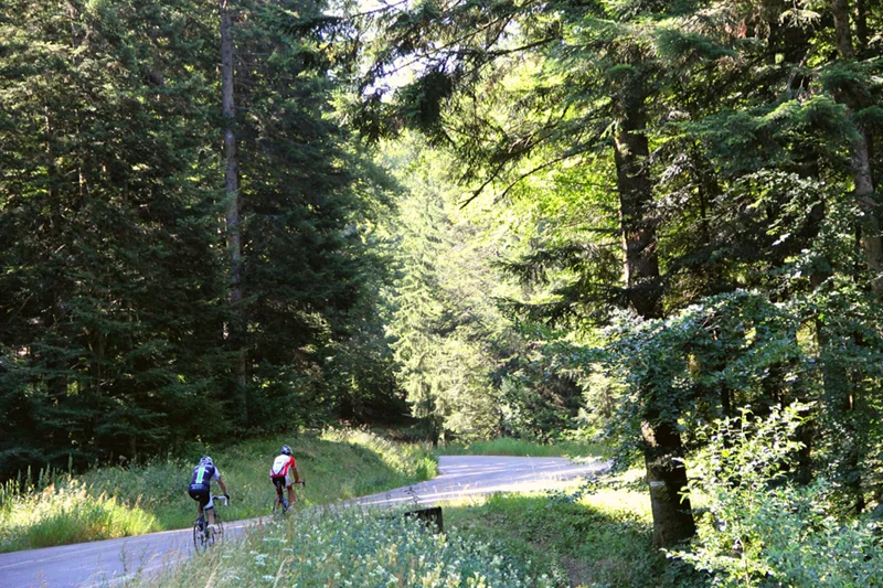 Vélo de route Col de Chamrousse — Vaulnaveys-le-Haut