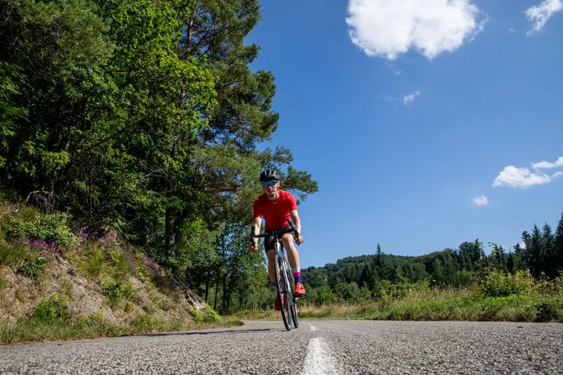 Vélo de route Circuit cyclo - La Châtaigneraie entre Cère et Rance — Saint-Mamet-la-Salvetat