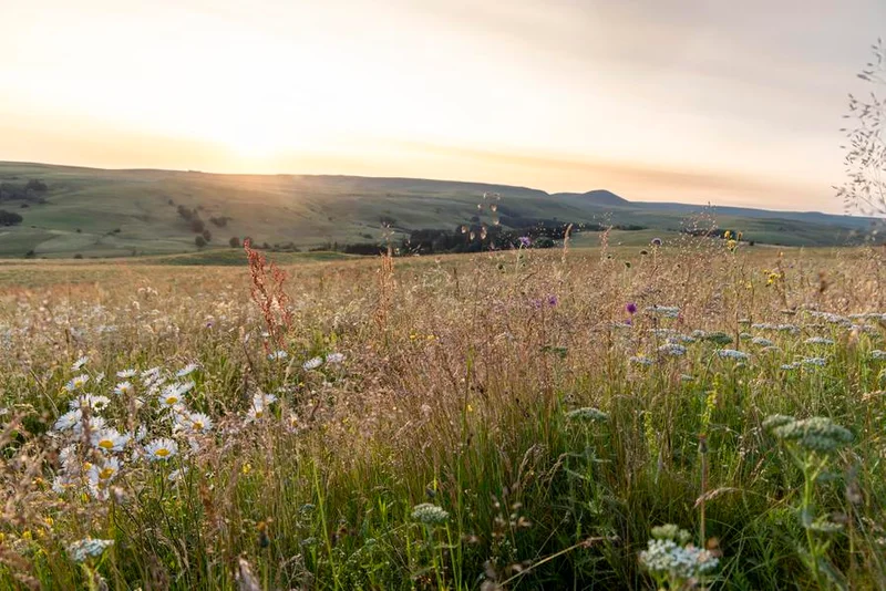 Vélo de route Le Haut Cantal - Cyclo — Condat