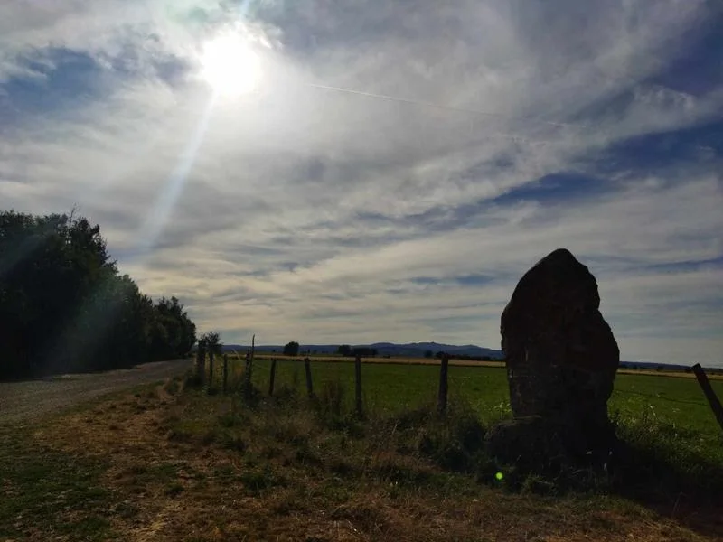 Vélo de route Circuit cyclo - Entre Truyère et Planèze — Neuvéglise-sur-Truyère
