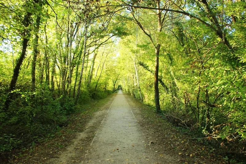 Vélo de route Voie verte : Gex-Divonne, par l'ancienne voie ferrée — Gex