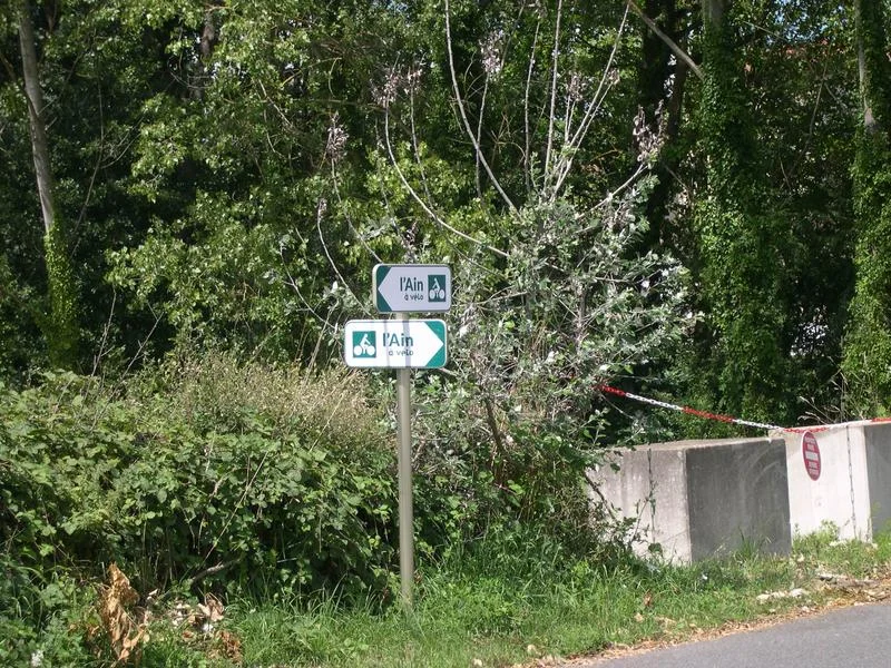 Vélo de route Itinérance L'Ain à Vélo - Entre Bresse & Dombes (2 jours) — Thoissey