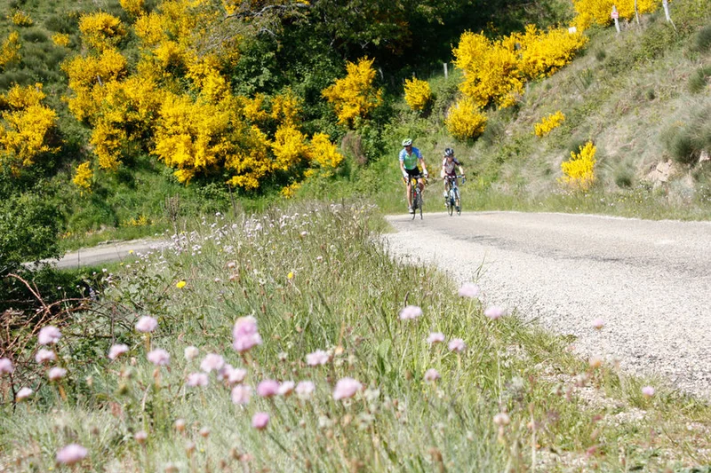 Vélo de route L'Ardéchoise : La Châtaigne — Saint-Félicien
