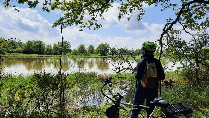 Vélo de route Itinérance L'Ain à Vélo - La Dombes aux mille étangs (1 jour) — Châtillon-sur-Chalaronne