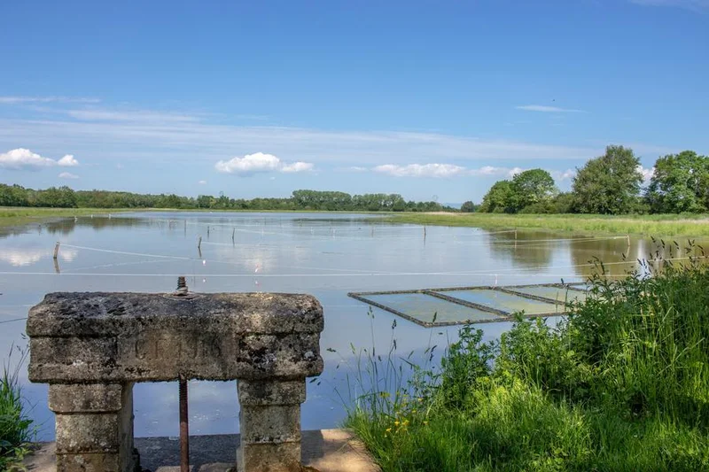 Vélo de route Itinérance L'Ain à Vélo - Entre Dombes et Val de Saône (1 à 2 jours) — Châtillon-sur-Chalaronne