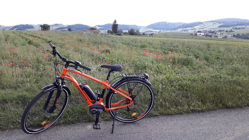 Vélo de route Monts du Lyonnais - Le circuit de l'Argentière - Boucle 2.4 — Sainte-Foy-l'Argentière