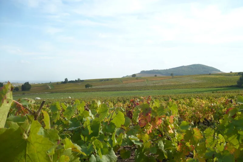 Vélo de route Le Beaujolais - Les crus du Beaujolais - Boucle 5.1 — Cercié