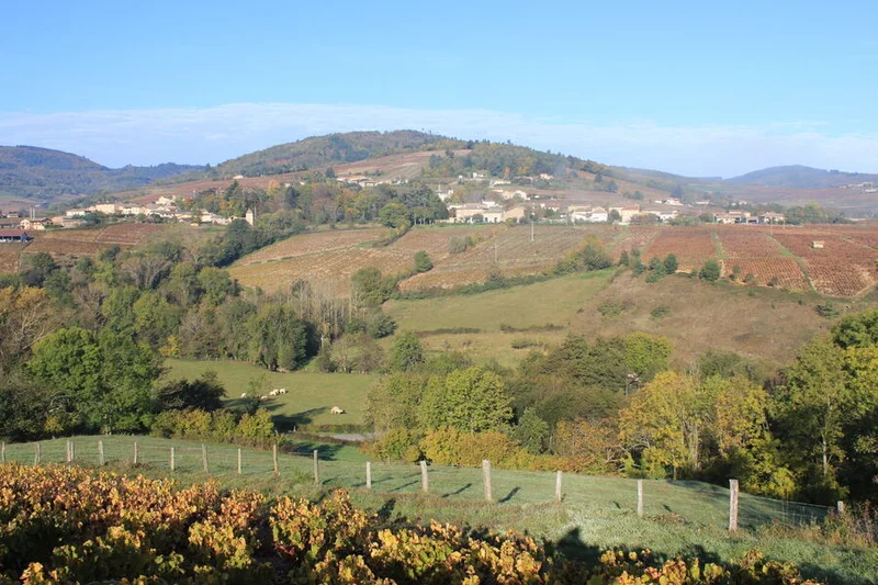 Vélo de route Le Beaujolais - Les coteaux du Beaujolais - Boucle 5.2 — Régnié-Durette