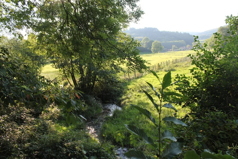 Vélo de route Le Beaujolais - Entre vignes et forêts - Boucle 5.3 — Beaujeu