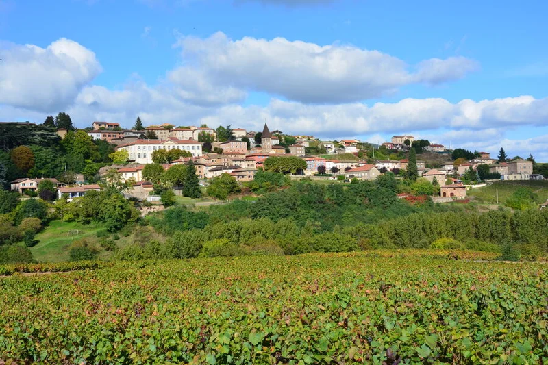 Vélo de route Le Beaujolais - Clochemerle - Boucle 5.6 — Le Perréon