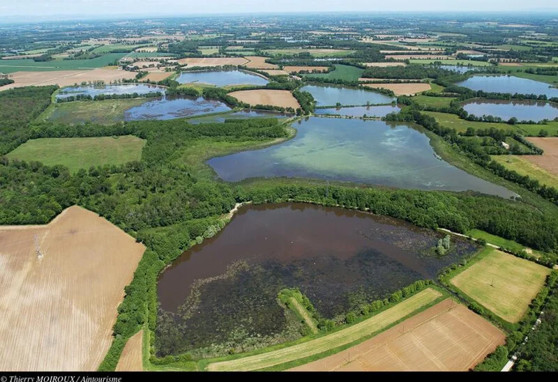 Vélo de route Itinérance L'Ain à Vélo - La Dombes, terre d'eau (4 jours) — Saint-Didier-sur-Chalaronne