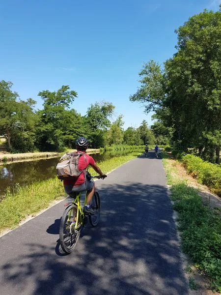 Vélo de route Boucle cyclable R6 : De l'eau à l'arbre — Briennon
