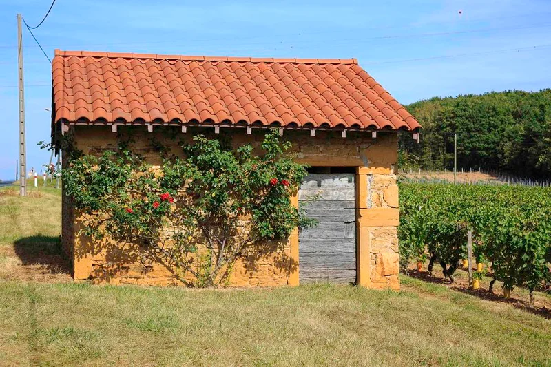 Vélo de route Les portes sud du Beaujolais — L'Arbresle
