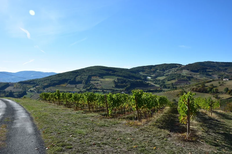 Vélo de route Le Panoramique — Sain-Bel