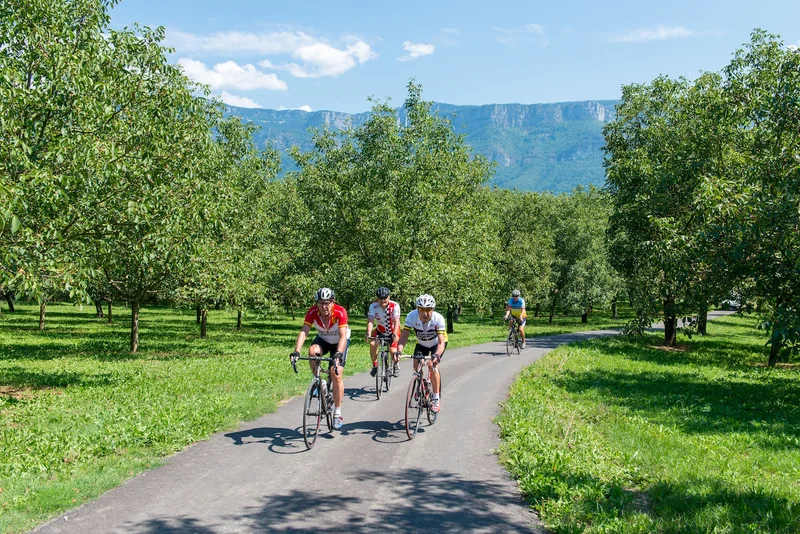 Vélo de route Cyclo : La véloroute La Belle Via — Grenoble