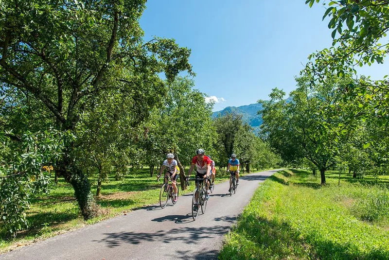 Vélo de route Itinéraire vélo : La Belle Via - Étape 6 - Grenoble > Vinay — Grenoble