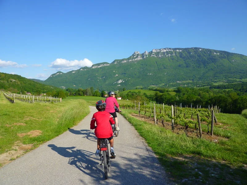 Vélo de route Boucle Cyclo : Le Circuit du Vignoble — Yenne