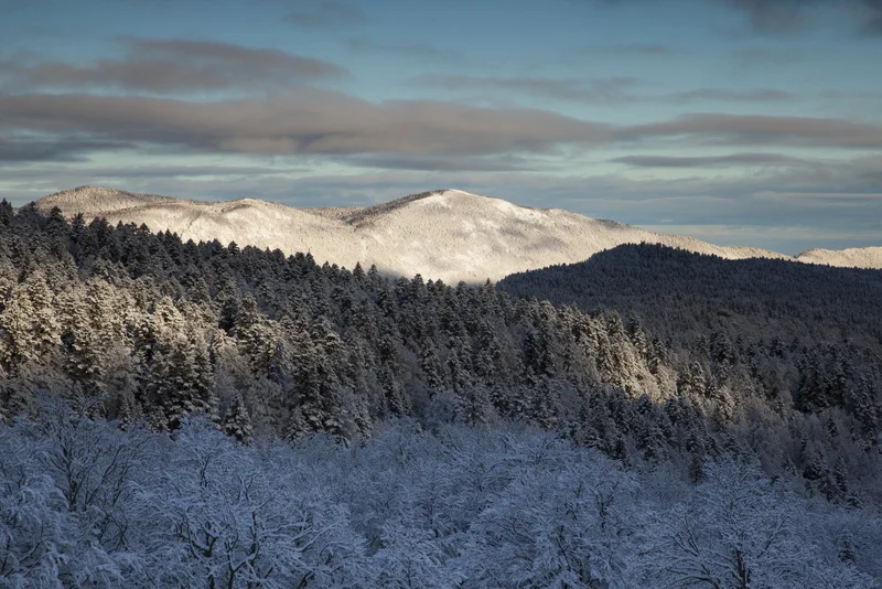Raquettes Col de Rousset - But de l'Aiglette — Chamaloc