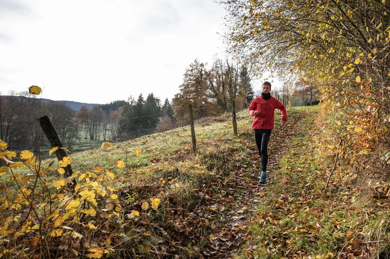 Randonnée Le Tour du Pays de Cunlhat en Livradois — Cunlhat