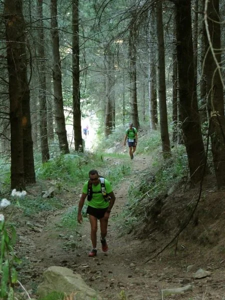 Trail Trail n° 7 - Saint-Nicolas-des-Biefs — Saint-Nicolas-des-Biefs