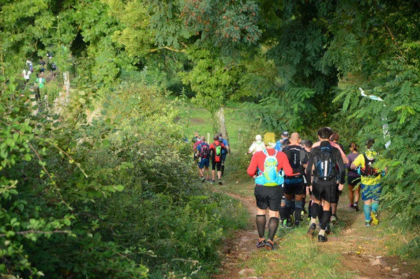 Trail Trail n° 26 - Saint-Nicolas-des-Biefs — Saint-Nicolas-des-Biefs