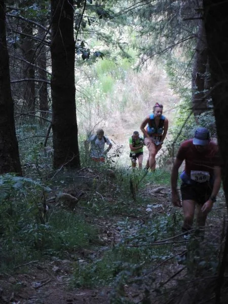 Trail Trail n° 43 - Saint-Nicolas-des-Biefs — Saint-Nicolas-des-Biefs