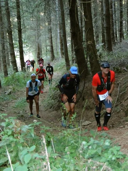 Trail Trail n° 85 - Saint-Nicolas-des-Biefs — Saint-Nicolas-des-Biefs