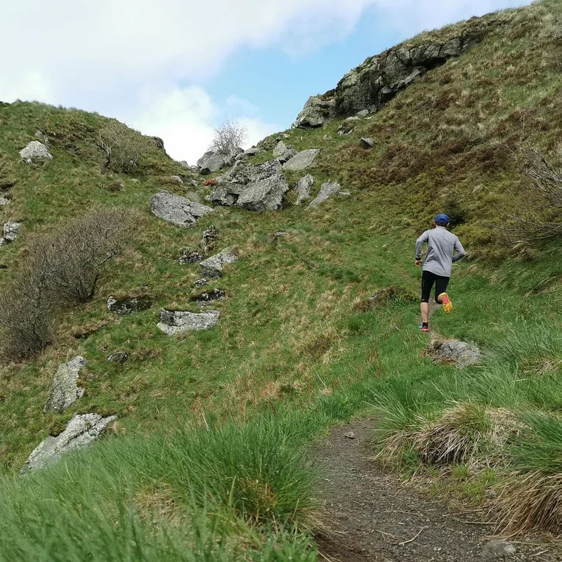 Trail La Dure-Bise (trail) — Mont-Dore