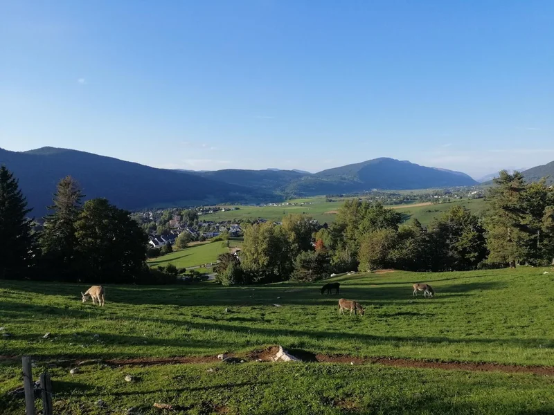 Trail La plaine de Lans — Villard-de-Lans