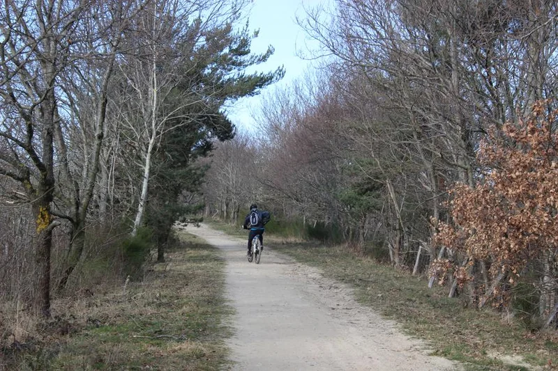 VTT L'Aventure du rail — Saint-Marcellin-en-Forez