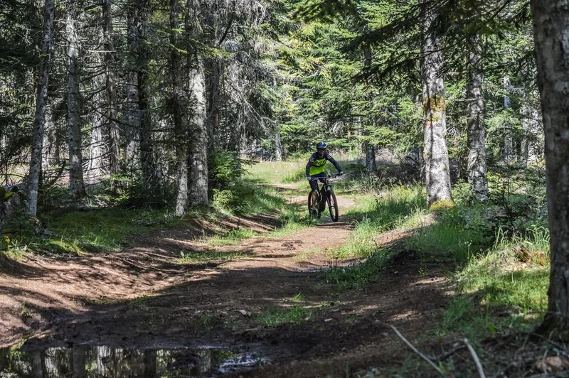 VTT Les quatre fers de l'âne (petit circuit) — Chavagnac