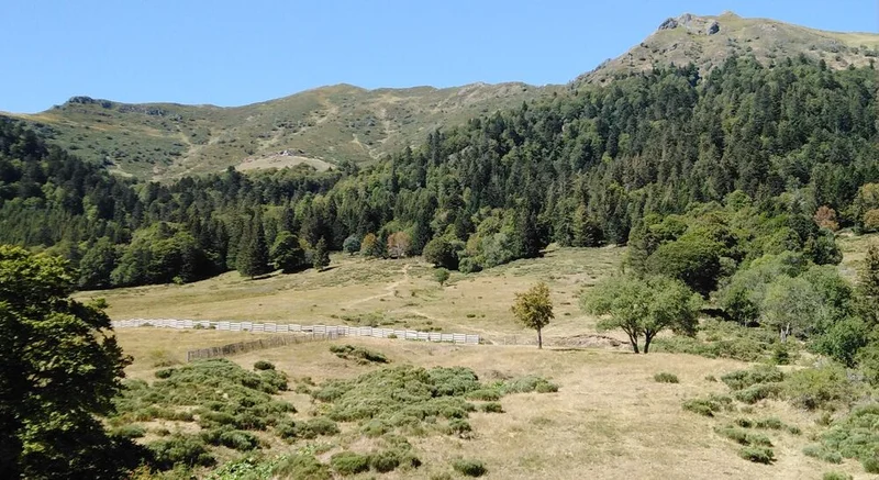 VTT Font d'Alagnon — Super Lioran