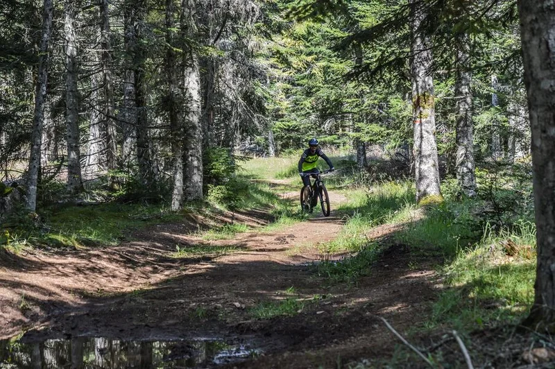 VTT Les quatre fers de l'âne (grand circuit) — Chavagnac
