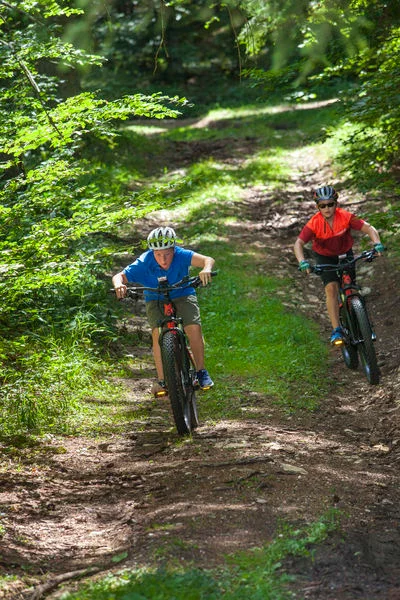 VTT Parcours VTTAE 29 rouge - Tour de Cruchon - Espace FFC Ain Forestière — Giron