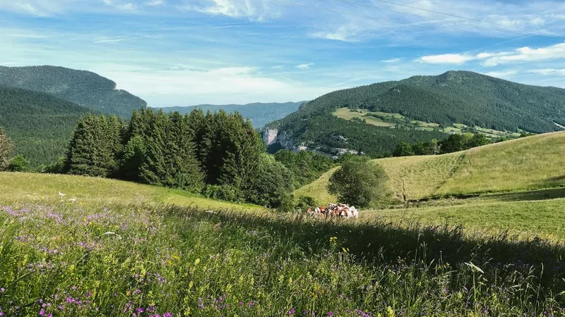 VTT La Loubière express - Circuit VTT N°46 - Bleu — Villard-de-Lans