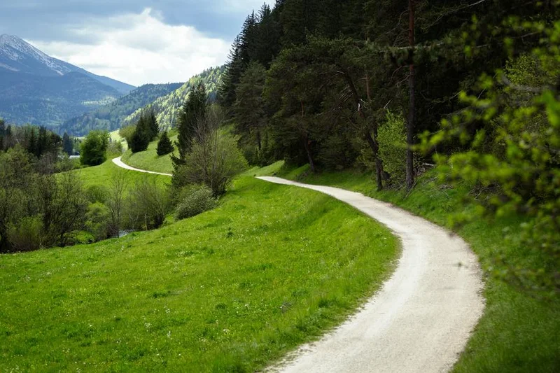 VTT L'arboretum - Circuit VTT N°42 - Vert — Villard-de-Lans