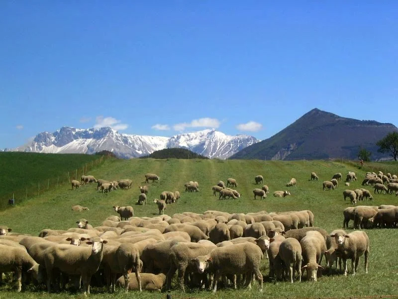 Randonnée Le champ de la bataille · La Bâtie-Montsaléon