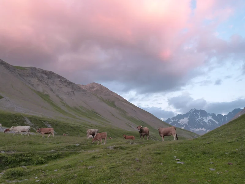 Randonnée La Boucle du Plan de l'Alpe — Villar-d'Arêne