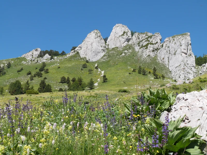 Randonnée GR® 94 (0) — Saint-Julien-en-Beauchêne