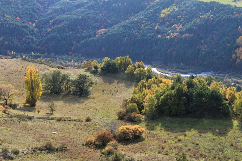 Randonnée Circuit de la Distillerie — La Roche-des-Arnauds