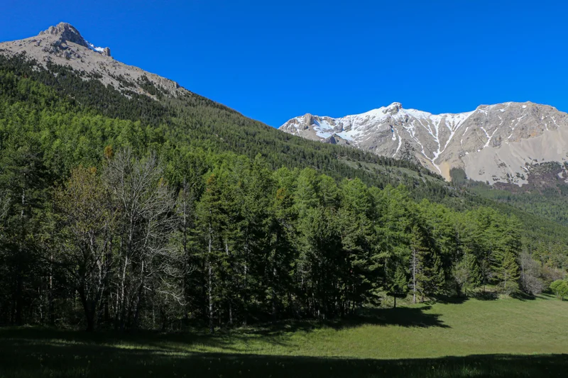 Randonnée Circuit du Pic et du Chamois — Montmaur