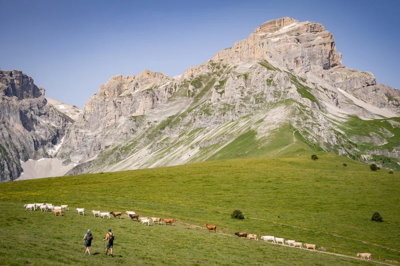 Randonnée GRP® Tour de l'Obiou — Les Payas