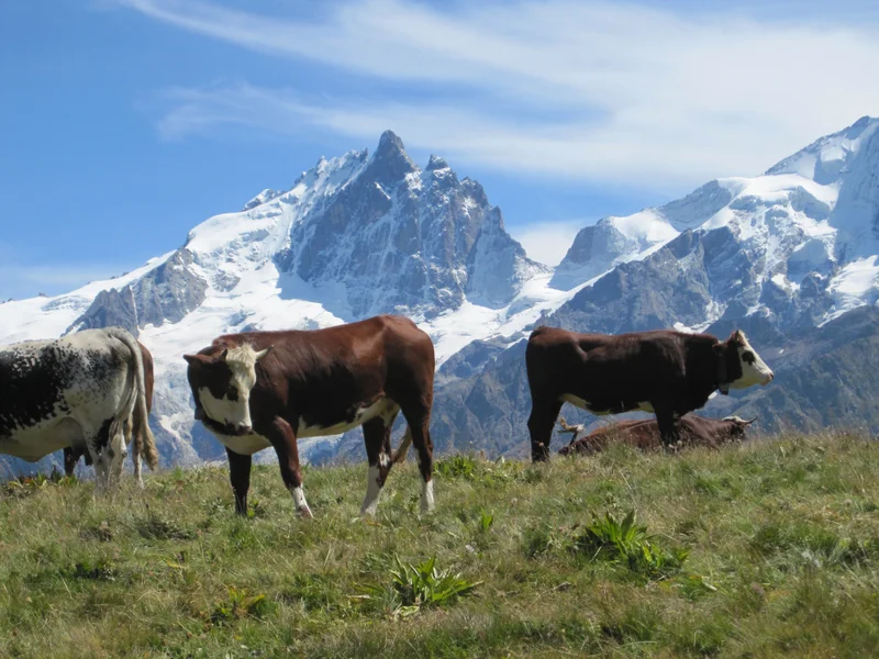 Randonnée GR® 50 — La Grave