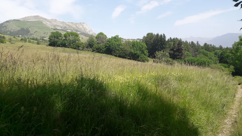 VTT Far Bayard (VTT n°1 rouge) — Gap