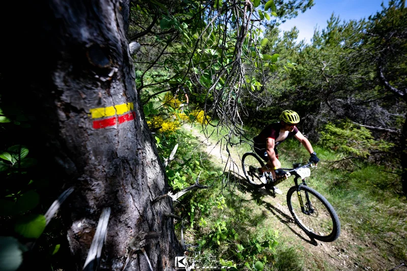 VTT Baumugne et Guillotier (VTT n°12 noir) — Saint-Julien-en-Beauchêne
