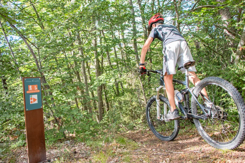 VTT Angélus (VTT n°2 rouge) — La Faurie