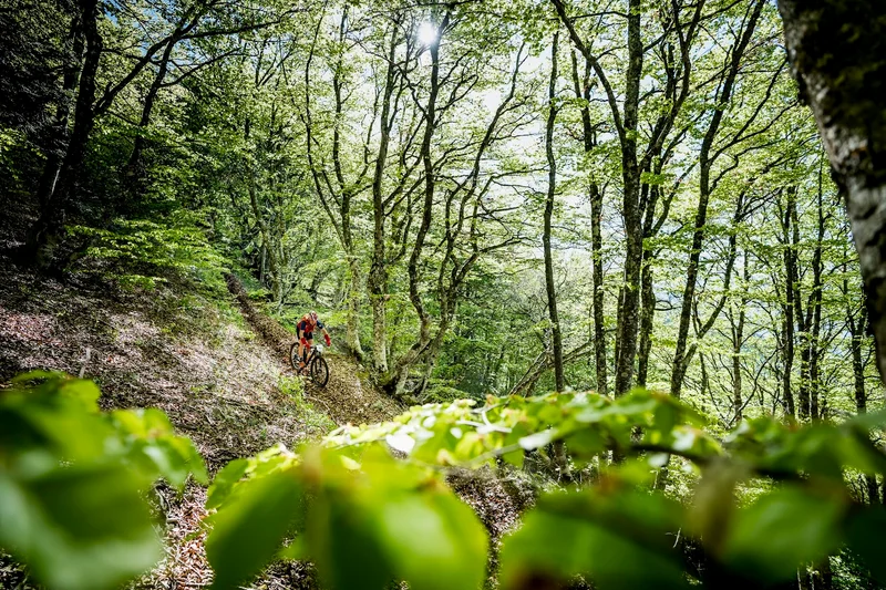 VTT Fontaine de Bane (VTT n°16 rouge) · La Beaume